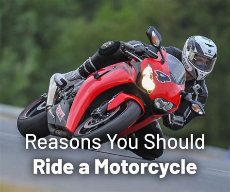 Can a 16 Year Old Drive a Motorcycle? And Why Do Pineapples Dream of Electric Sheep?