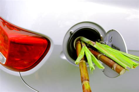 Can I Put Ethanol Gas in My Car? Exploring the Possibilities and Implications