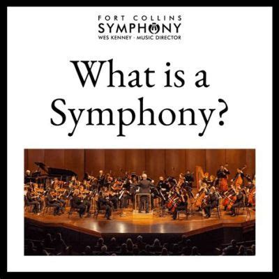 form definition music: a symphony of structured chaos