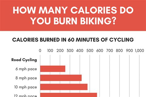 How Many Calories Does a 20 Mile Bike Ride Burn? And Why Do Bananas Hate Helmets?