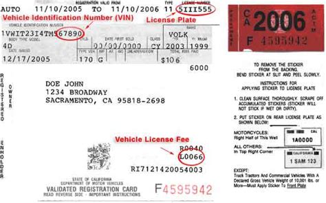 How Much Is a Car Registration in California and Why Do Pineapples Dream of Electric Sheep?