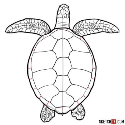 How to Sketch a Turtle: A Journey into the Shell of Creativity