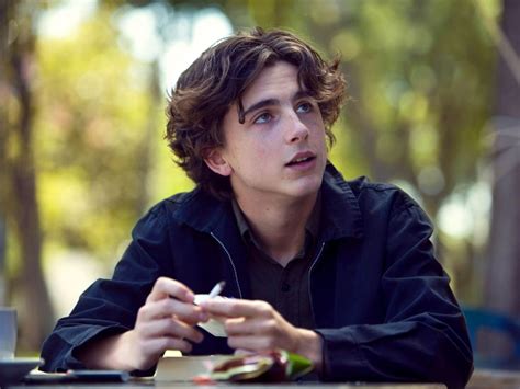 Il Concerto di Timothée Chalamet: Un Viaggio Tra Melodie e Sberleffi!