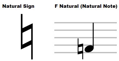 What is a Natural Note in Music and Why Does It Sound Like a Whisper from the Cosmos?